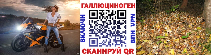 мориарти наркотические препараты  Бахчисарай  Псилоцибиновые грибы Psilocybe  KRAKEN зеркало 
